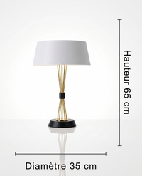 Luminaire "Arcadia" – Lampe à Poser aux Lignes Courbes et Finition Or Mes Luminaires