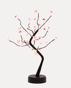 Veilleuse Arbre "Bonsaï" – Lampe de Chevet Design pour Chambre Mes Luminaires