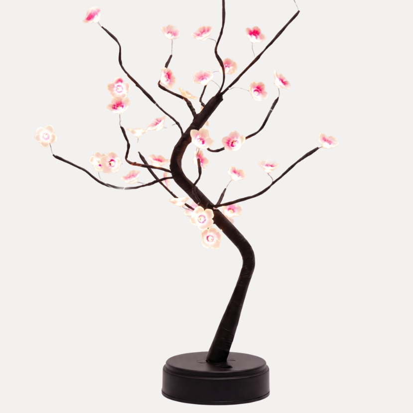 Veilleuse Arbre "Bonsaï" – Lampe de Chevet Design pour Chambre Mes Luminaires